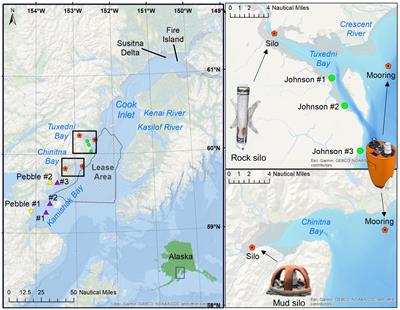 Using passive acoustics to identify a quiet winter foraging refuge for an endangered beluga whale population in Alaska